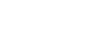 ROOT-SHOP