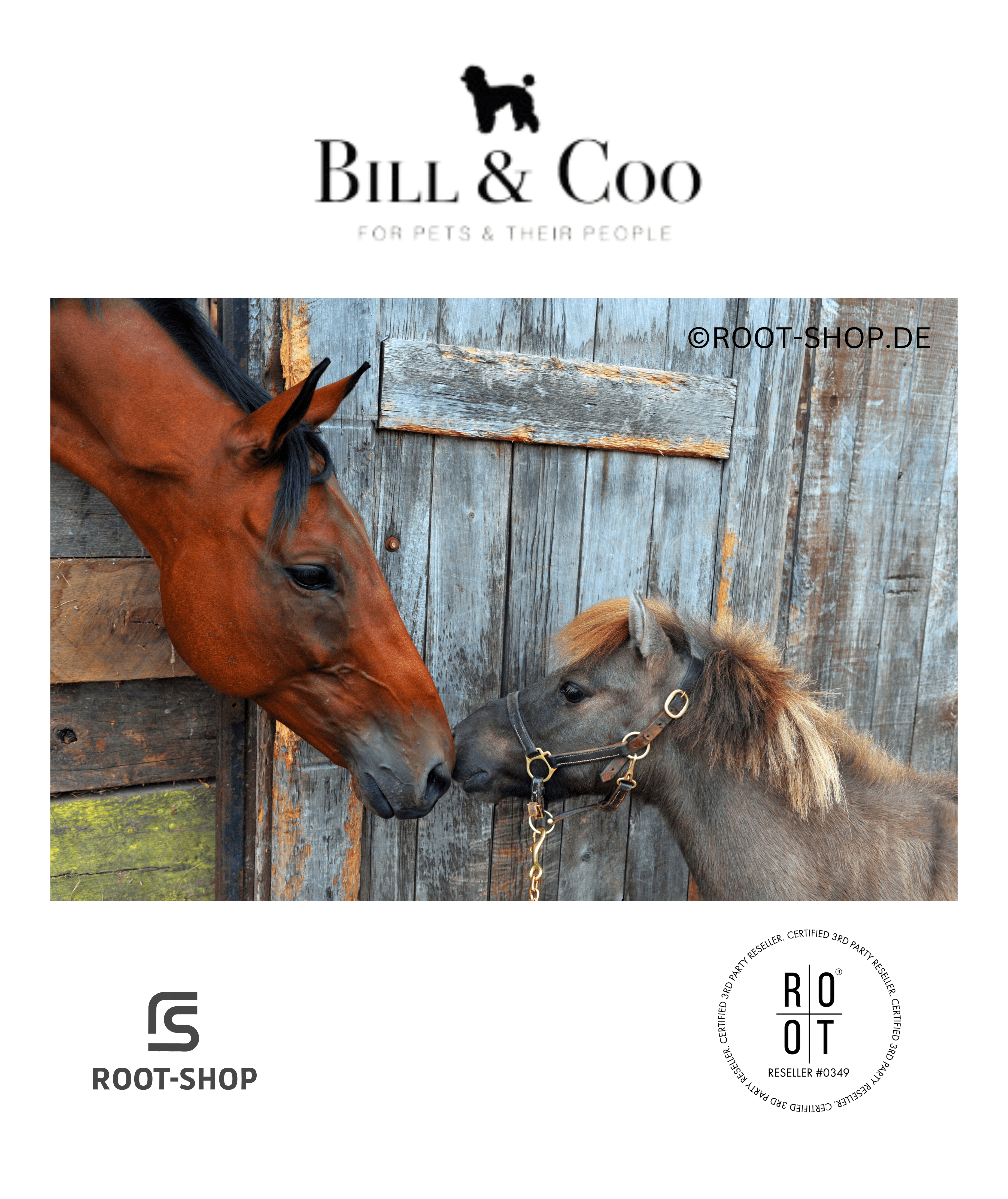BILL & COO Anigreens - ROOT-SHOP