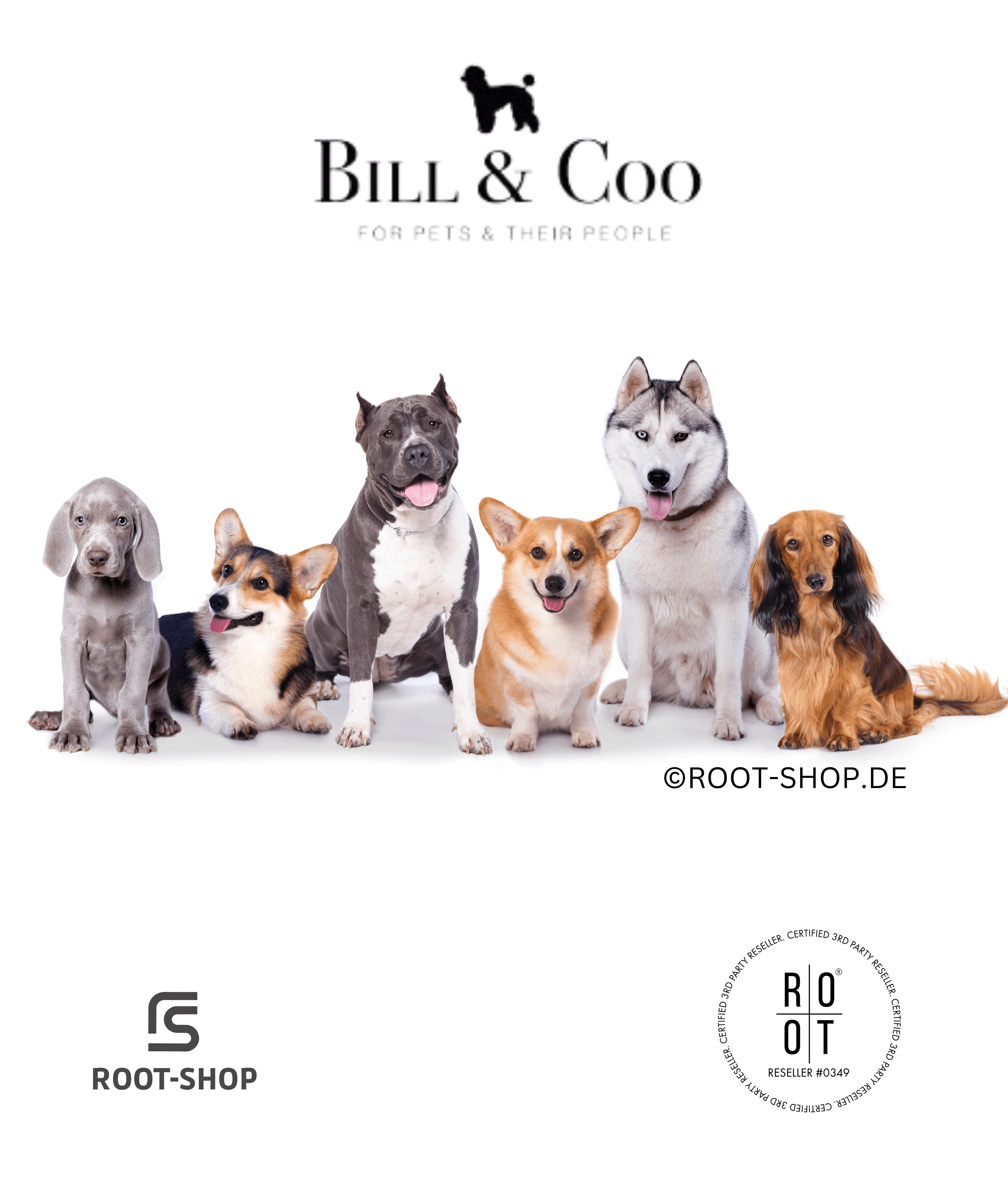 BILL & COO Anigreens - ROOT-SHOP
