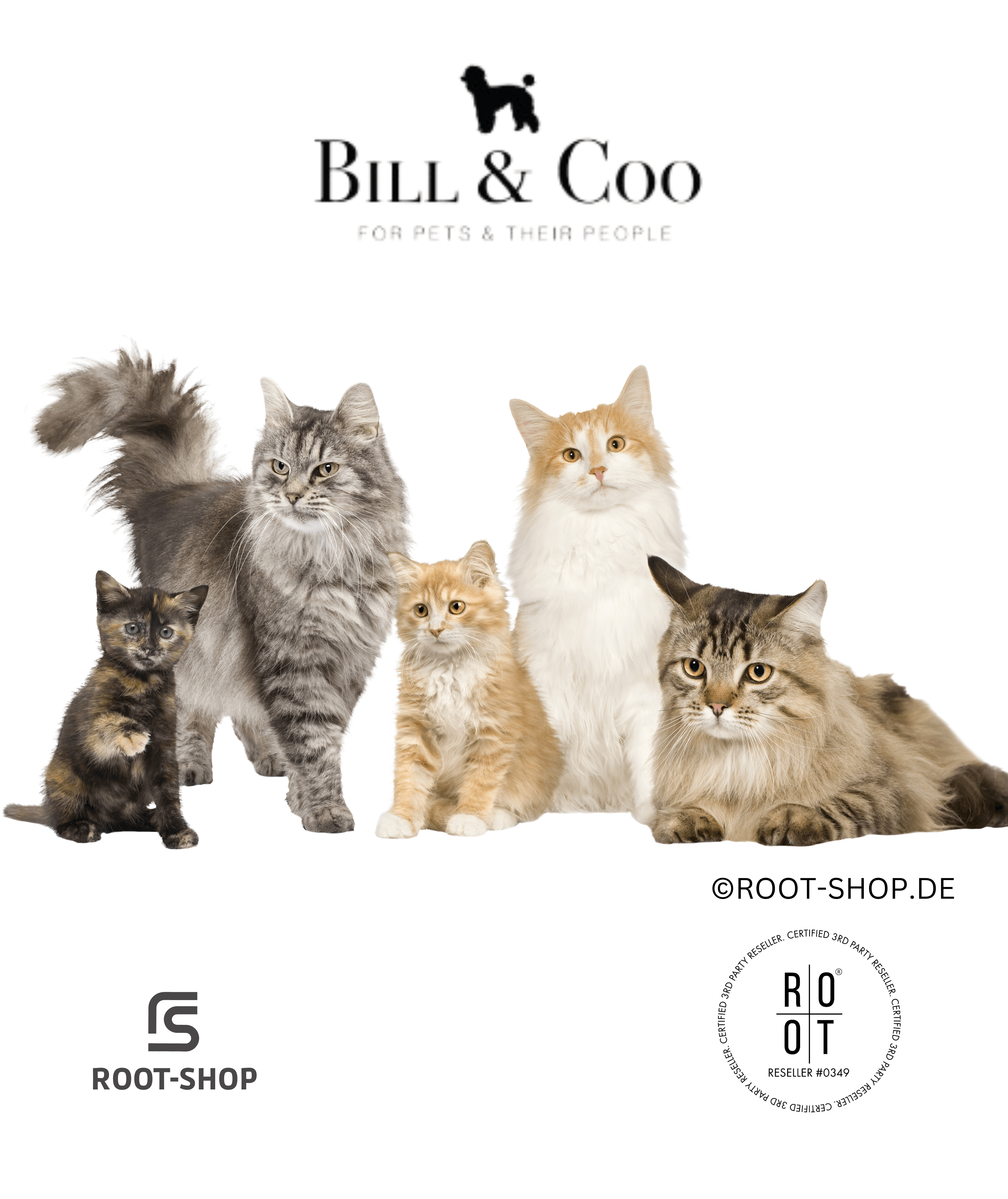BILL & COO Anigreens - ROOT-SHOP