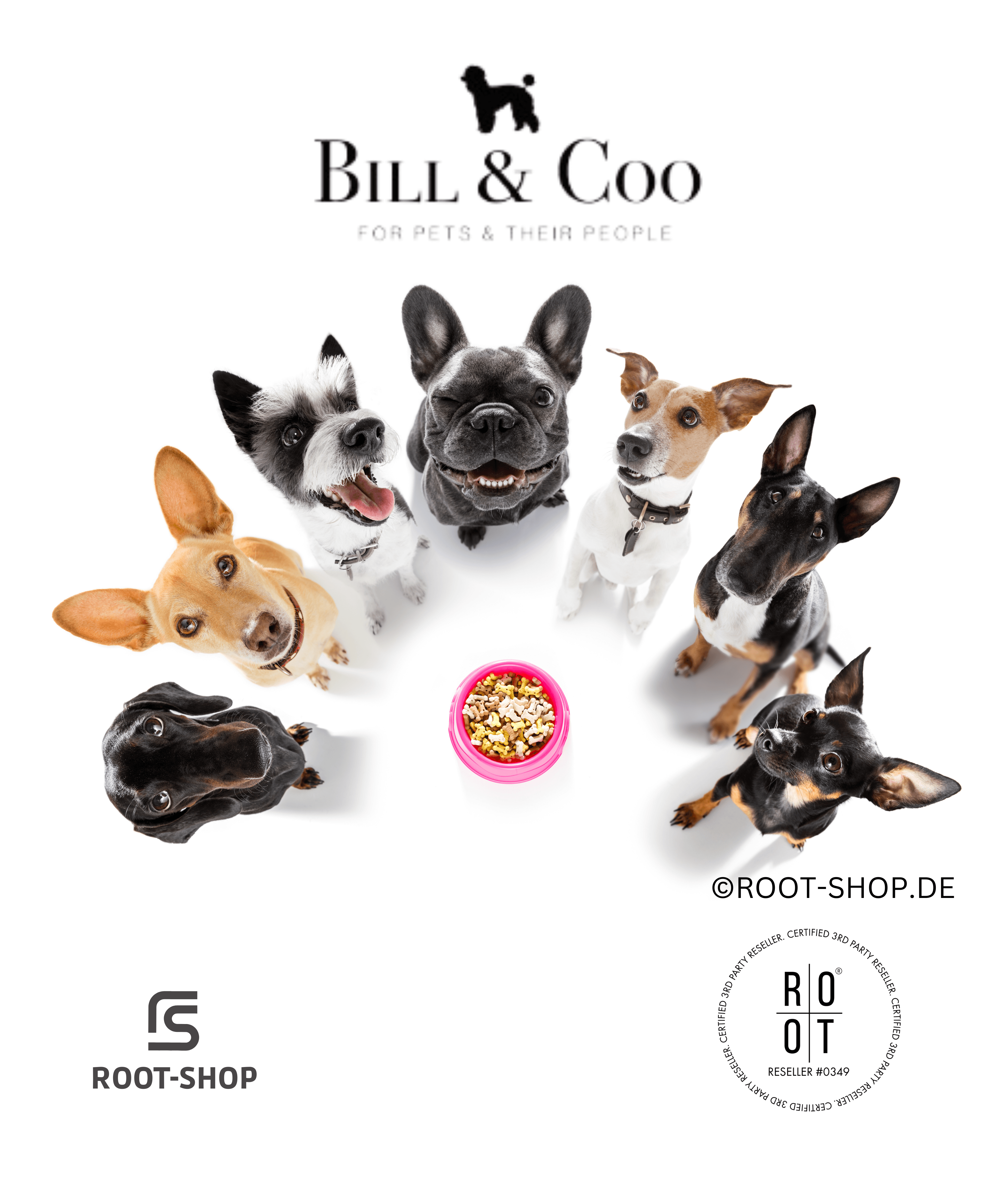 BILL & COO Longer Lives - ROOT-SHOP
