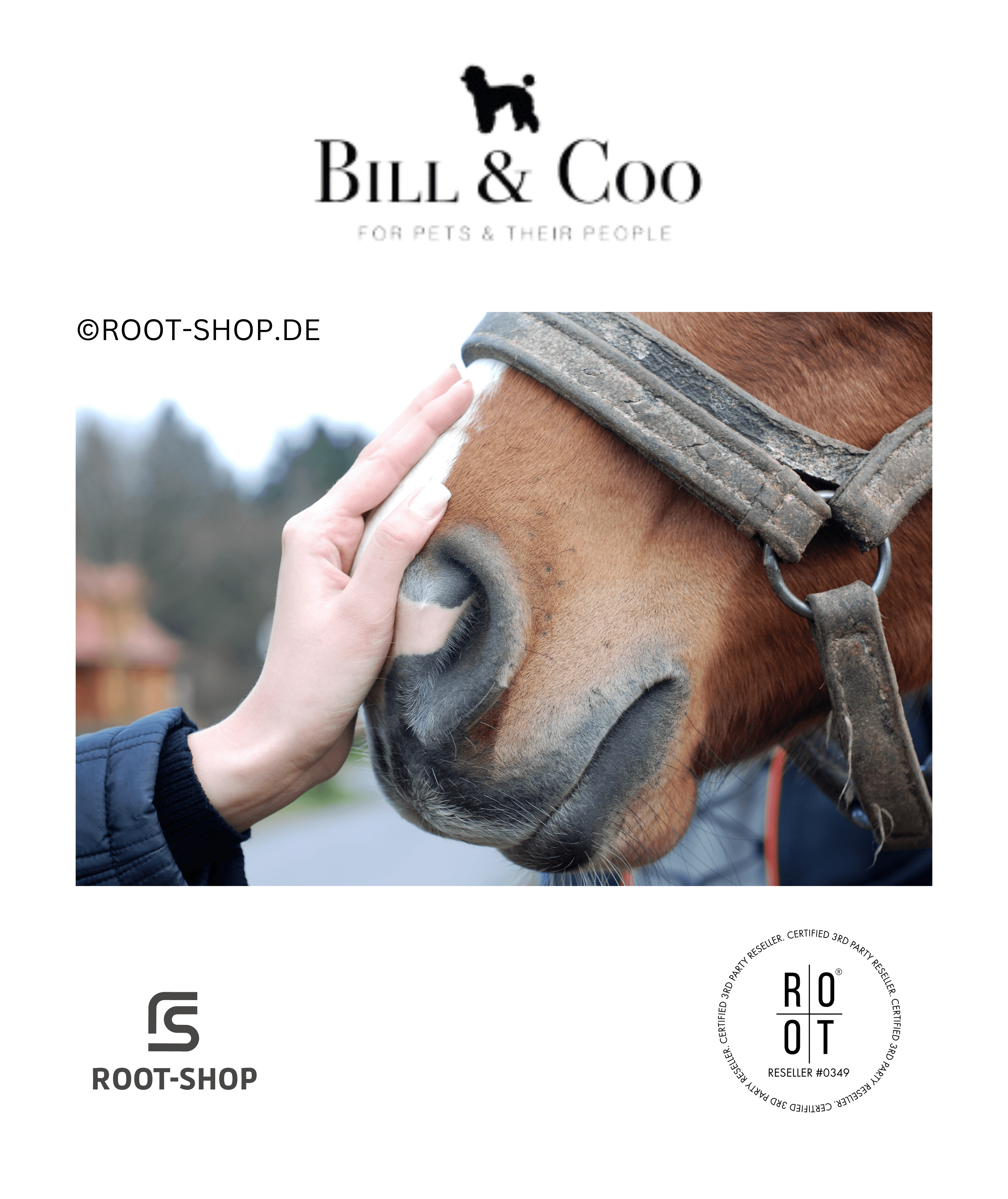 BILL & COO Pure Clean Pet - ROOT-SHOP