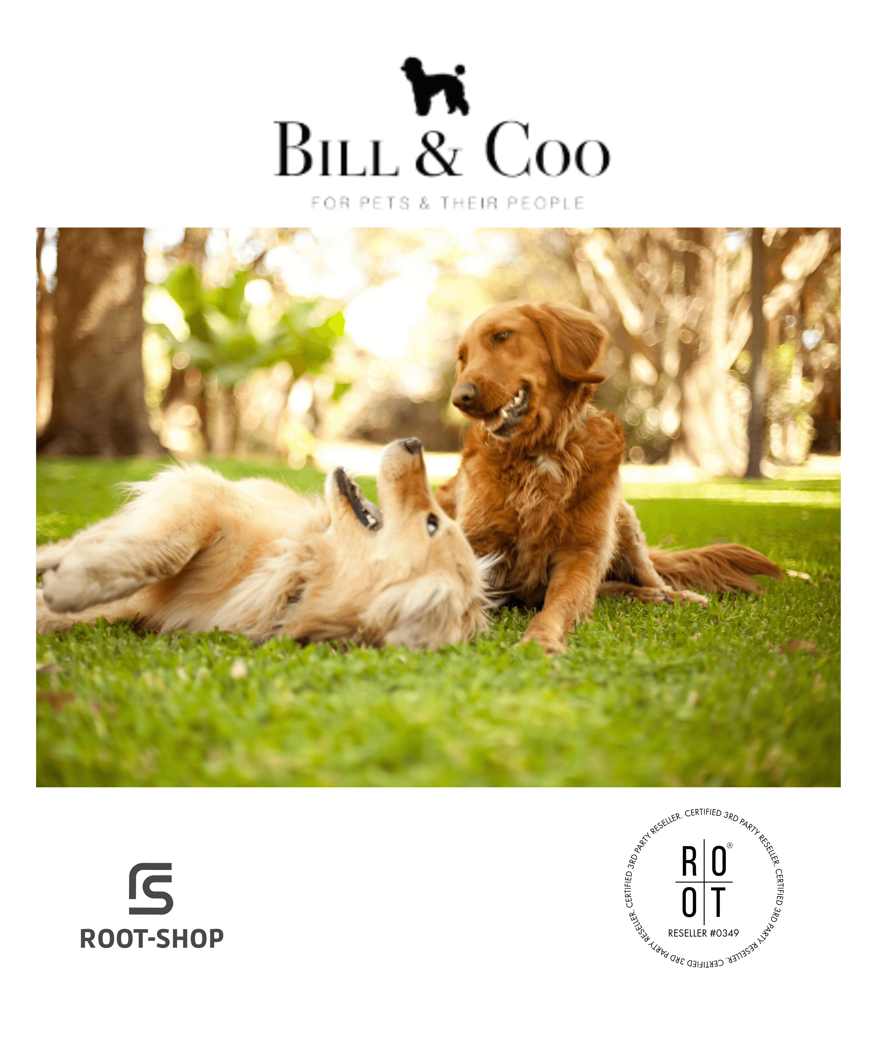 BILL & COO Pure Clean Pet - ROOT-SHOP