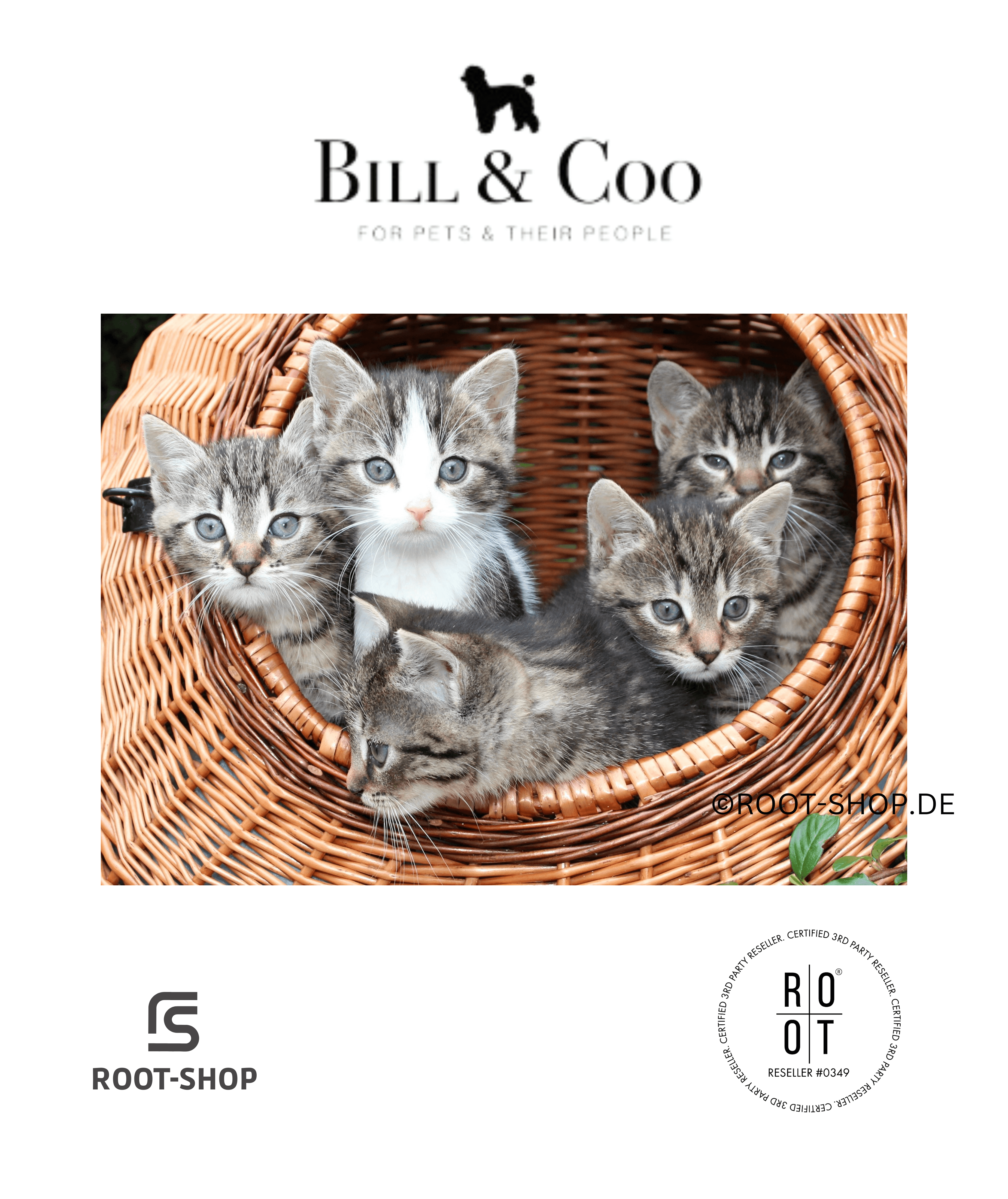 BILL & COO Pure Clean Pet - ROOT-SHOP