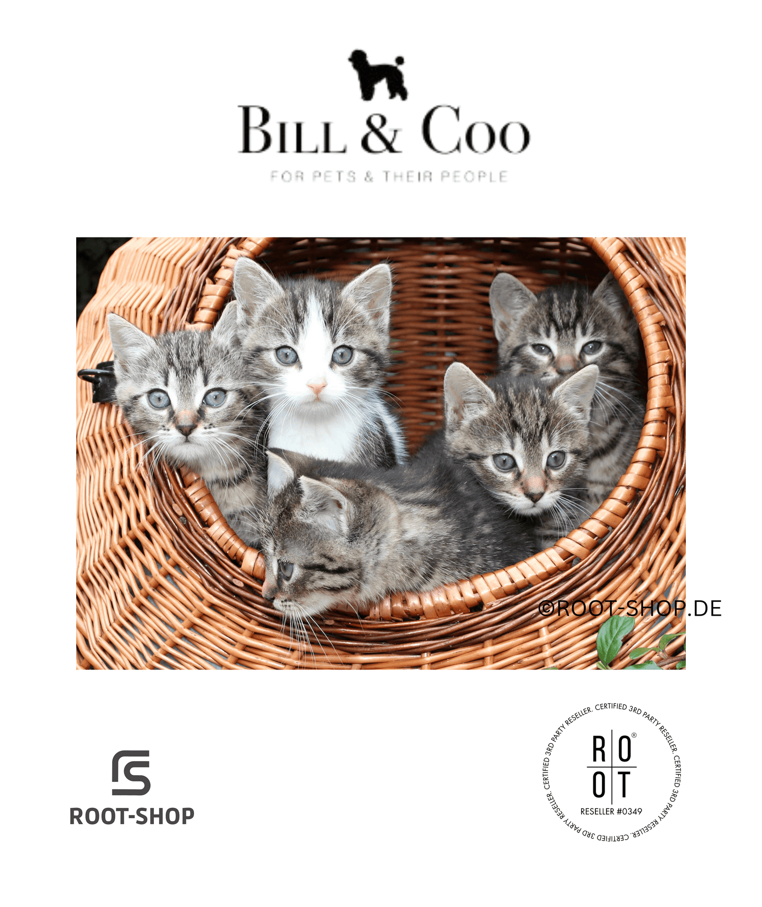 BILL &amp; COO Coato - ROOT-SHOP