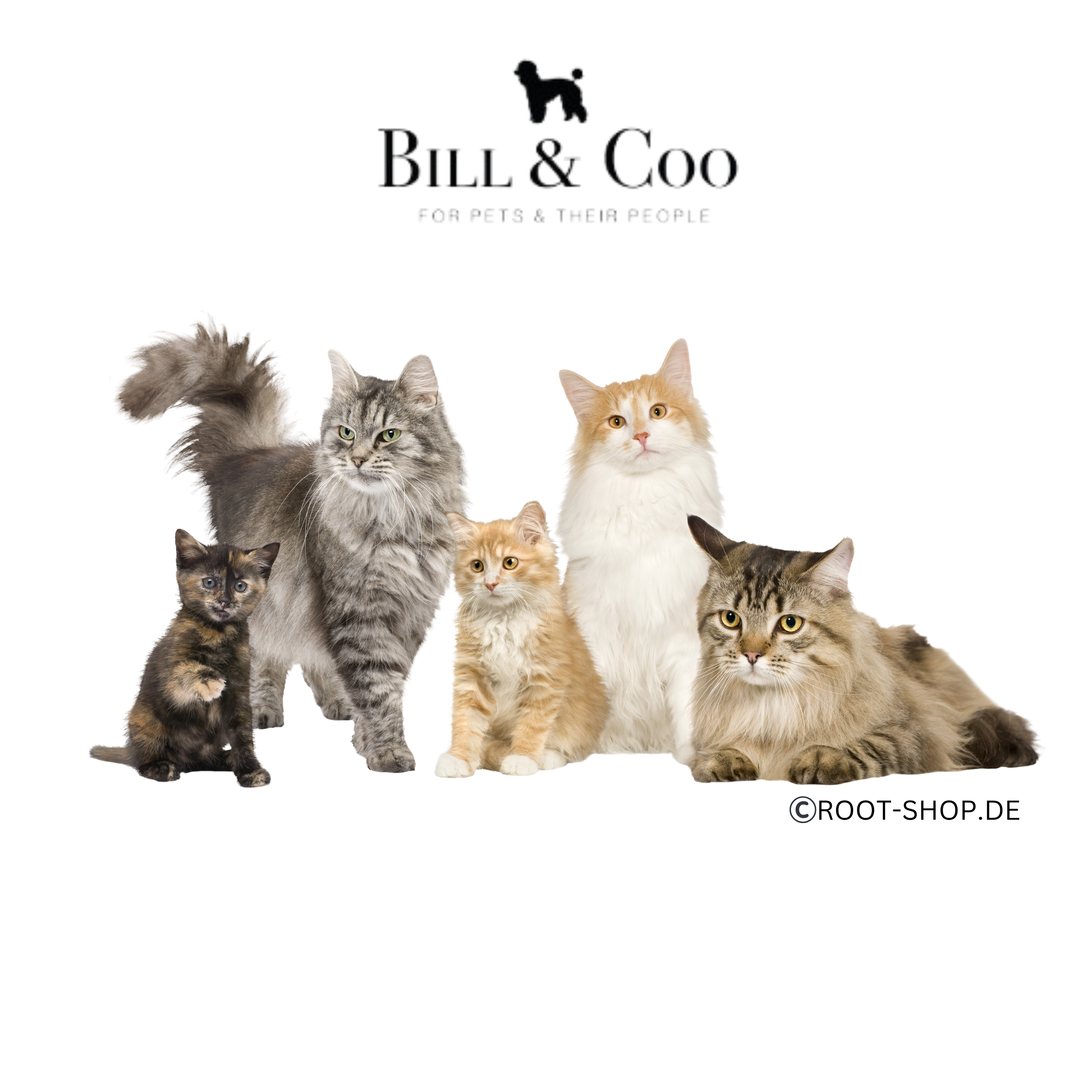 BILL &amp; COO Coato